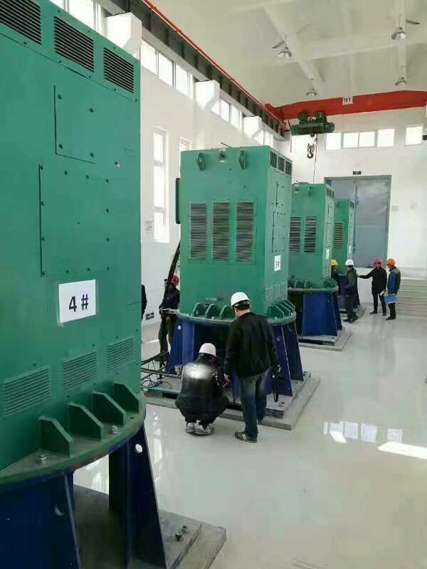 晋安某污水处理厂使用我厂的立式高压电机安装现场