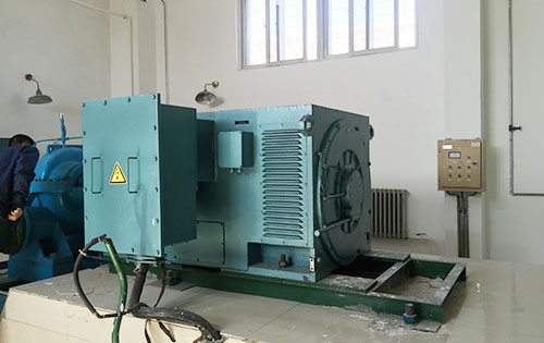 晋安某水电站工程主水泵使用我公司高压电机